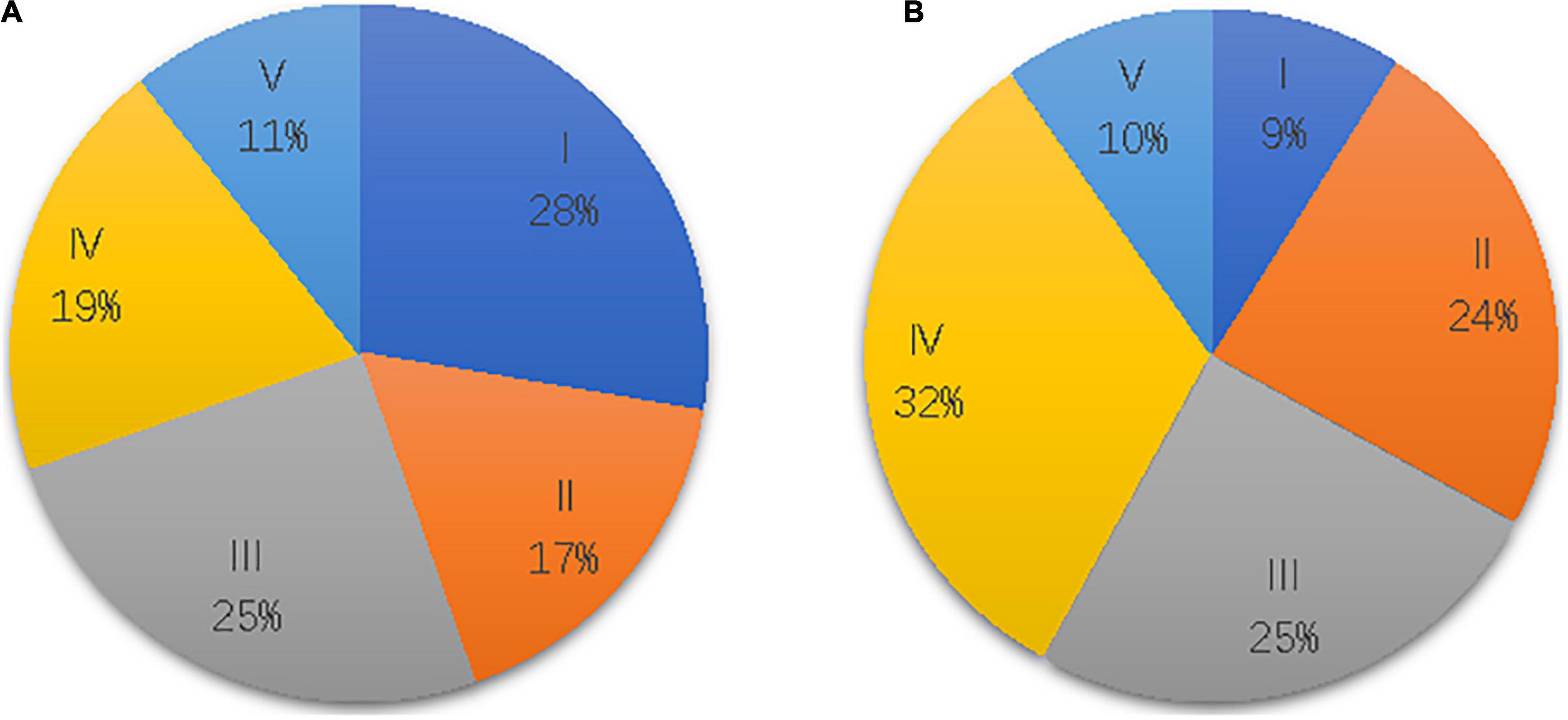 Which sites better represent the sensory function of hands in convalescent stroke patients? A study based on electrophysiological examination